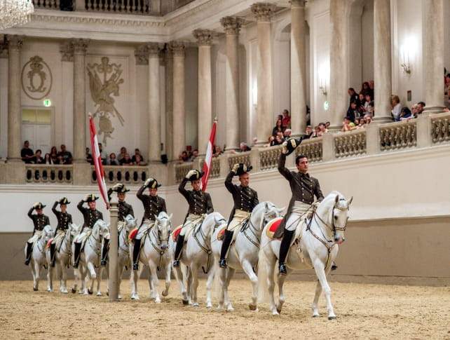 The Horses Of The Spanish Riding School